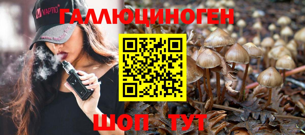 Псилоцибиновые грибы Psilocybe  Вход с VPN  Дятьково  Псилоцибиновые грибы мицелий 