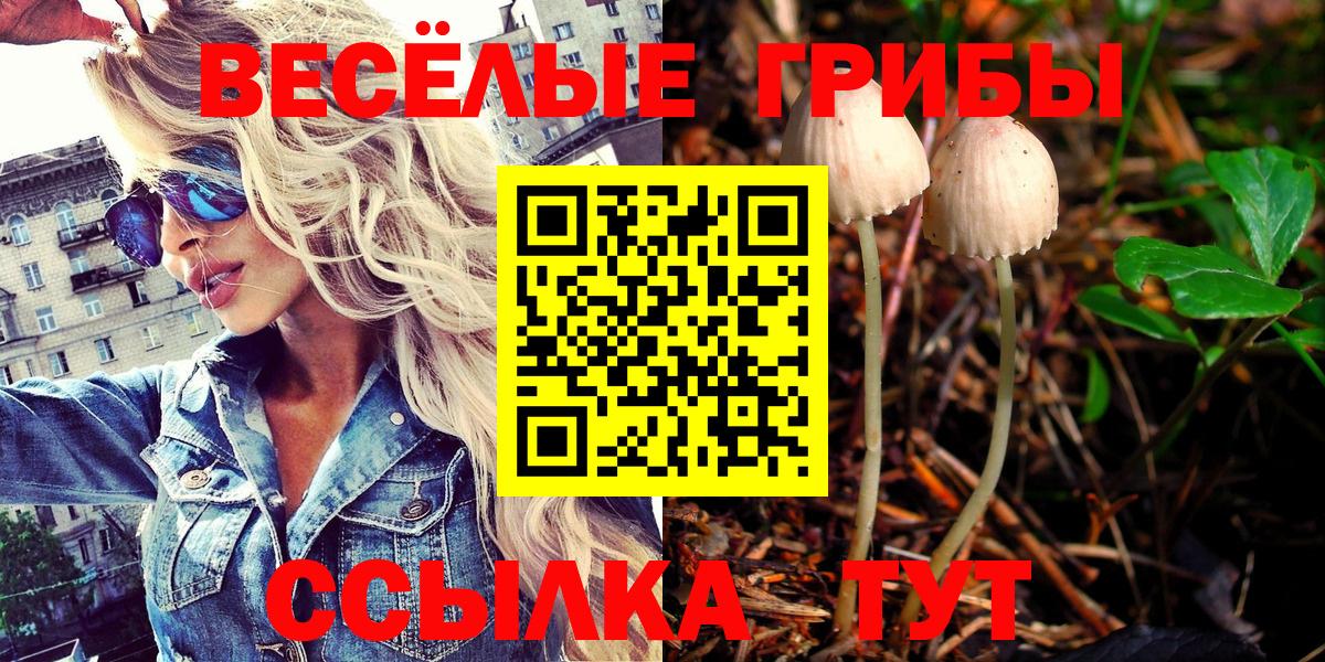 Псилоцибиновые грибы Cubensis Дятьково