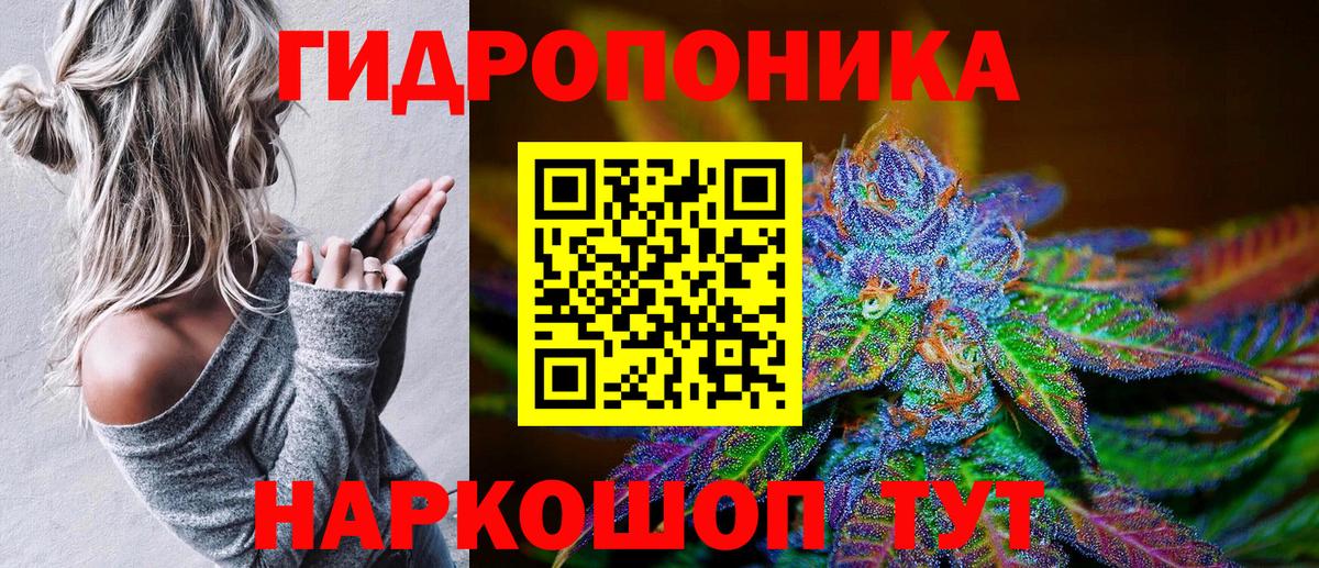 Бошки Шишки сатива  Бошки Шишки Amnesia  Дятьково  Вход с VPN 